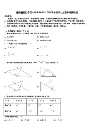 福建省厦门市双十中学2023-2024学年数学七上期末经典试题含解析.doc