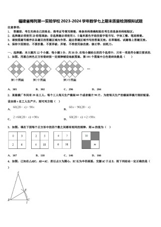 福建省梅列第一实验学校2023-2024学年数学七上期末质量检测模拟试题含解析.doc