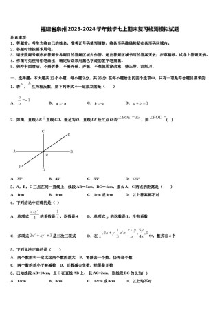 福建省泉州2023-2024学年数学七上期末复习检测模拟试题含解析.doc
