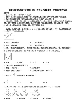 福建省泉州市培元中学2023-2024学年七年级数学第一学期期末联考试题含解析.doc