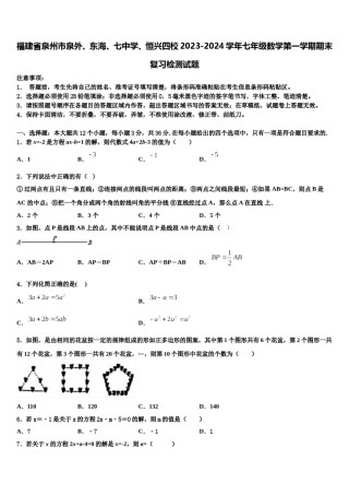 福建省泉州市泉外、东海、七中学、恒兴四校2023-2024学年七年级数学第一学期期末复习检测试题含解析.doc