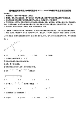 福建省福州市师范大泉州附属中学2023-2024学年数学七上期末监测试题含解析.doc