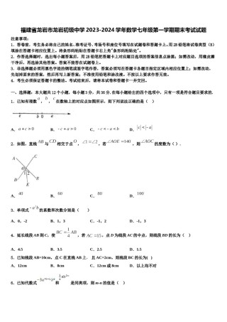 福建省龙岩市龙岩初级中学2023-2024学年数学七年级第一学期期末考试试题含解析.doc