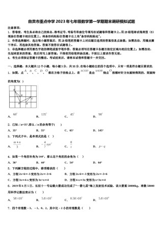 自贡市重点中学2023年七年级数学第一学期期末调研模拟试题含解析.doc