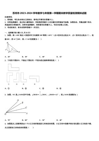 苏州市2023-2024学年数学七年级第一学期期末教学质量检测模拟试题含解析.doc