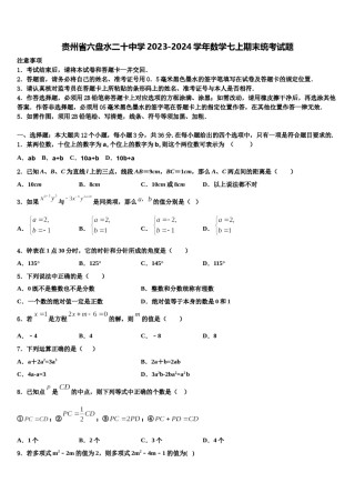 贵州省六盘水二十中学2023-2024学年数学七上期末统考试题含解析.doc