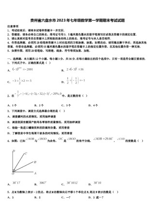 贵州省六盘水市2023年七年级数学第一学期期末考试试题含解析.doc