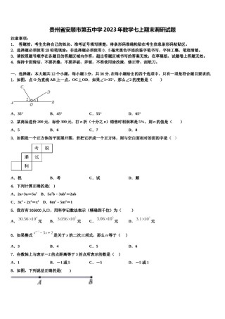贵州省安顺市第五中学2023年数学七上期末调研试题含解析.doc