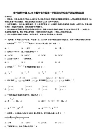 贵州省桐梓县2023年数学七年级第一学期期末学业水平测试模拟试题含解析.doc