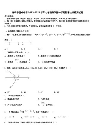 赤峰市重点中学2023-2024学年七年级数学第一学期期末达标检测试题含解析.doc