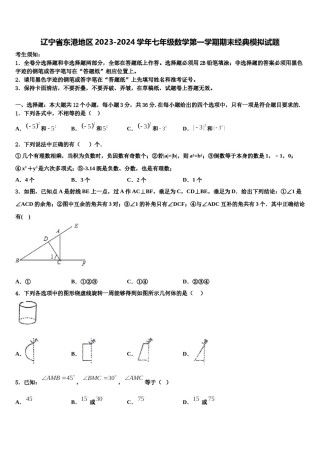 辽宁省东港地区2023-2024学年七年级数学第一学期期末经典模拟试题含解析.doc