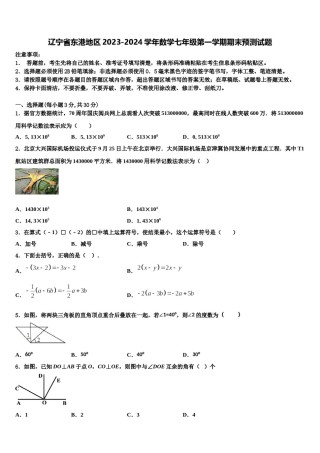 辽宁省东港地区2023-2024学年数学七年级第一学期期末预测试题含解析.doc