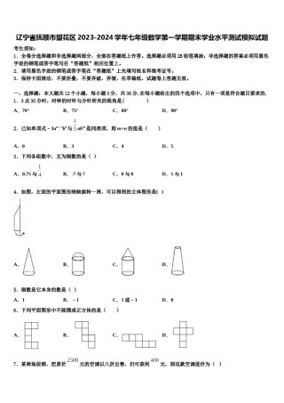 辽宁省抚顺市望花区2023-2024学年七年级数学第一学期期末学业水平测试模拟试题含解析.doc
