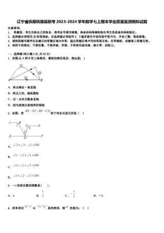 辽宁省抚顺抚顺县联考2023-2024学年数学七上期末学业质量监测模拟试题含解析.doc