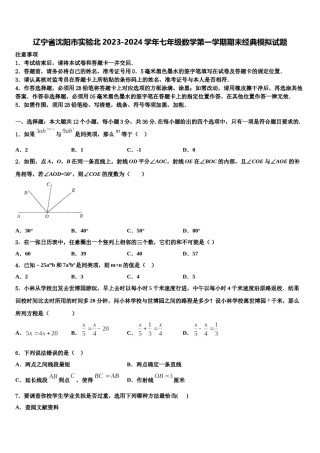 辽宁省沈阳市实验北2023-2024学年七年级数学第一学期期末经典模拟试题含解析.doc