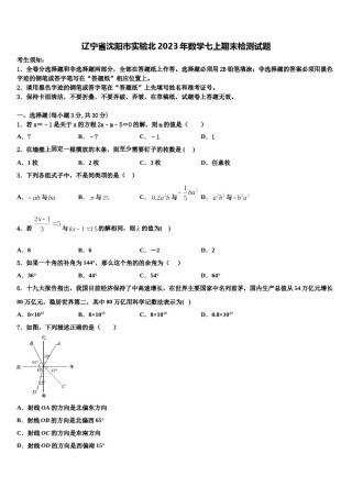 辽宁省沈阳市实验北2023年数学七上期末检测试题含解析.doc