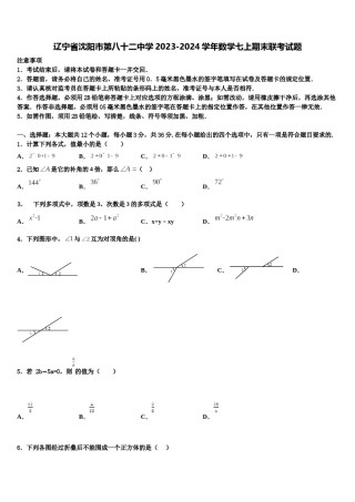 辽宁省沈阳市第八十二中学2023-2024学年数学七上期末联考试题含解析.doc