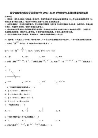 辽宁省盘锦市双台子区实验中学2023-2024学年数学七上期末质量检测试题含解析.doc
