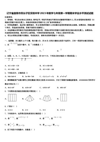辽宁省盘锦市双台子区实验中学2023年数学七年级第一学期期末学业水平测试试题含解析.doc