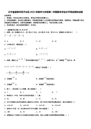 辽宁省盘锦市双子台区2023年数学七年级第一学期期末学业水平测试模拟试题含解析.doc