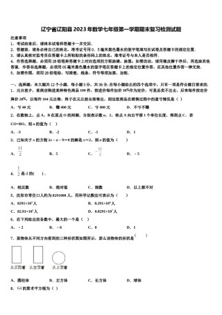 辽宁省辽阳县2023年数学七年级第一学期期末复习检测试题含解析.doc