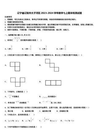 辽宁省辽阳市太子河区2023-2024学年数学七上期末检测试题含解析.doc