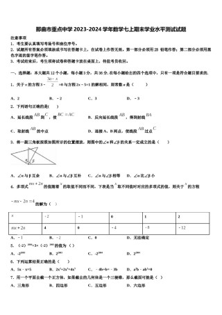 那曲市重点中学2023-2024学年数学七上期末学业水平测试试题含解析.doc