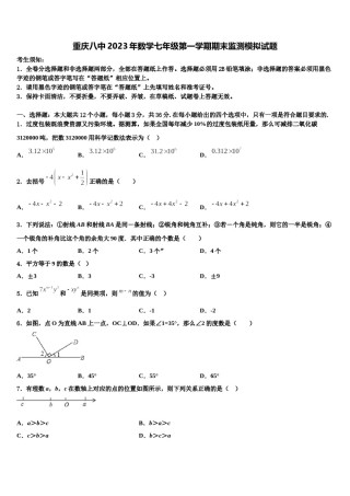 重庆八中2023年数学七年级第一学期期末监测模拟试题含解析.doc