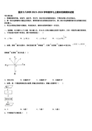 重庆十八中学2023-2024学年数学七上期末经典模拟试题含解析.doc