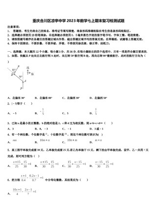 重庆合川区凉亭中学2023年数学七上期末复习检测试题含解析.doc