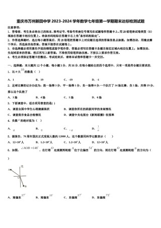 重庆市万州新田中学2023-2024学年数学七年级第一学期期末达标检测试题含解析.doc