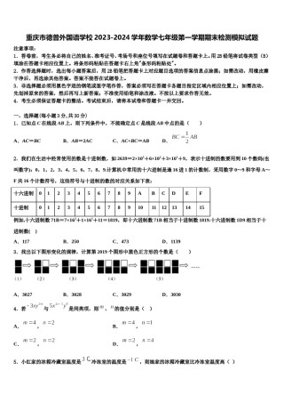 重庆市德普外国语学校2023-2024学年数学七年级第一学期期末检测模拟试题含解析.doc