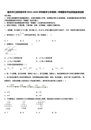 重庆市江津实验中学2023-2024学年数学七年级第一学期期末学业质量监测试题含解析.doc