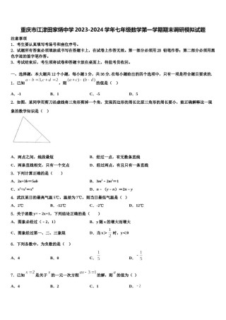 重庆市江津田家炳中学2023-2024学年七年级数学第一学期期末调研模拟试题含解析.doc