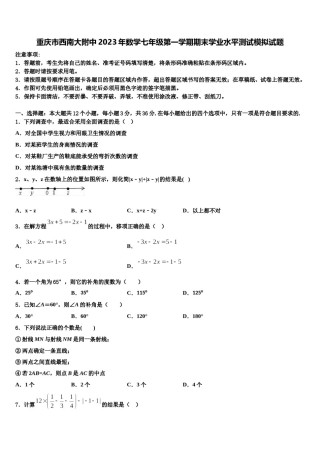 重庆市西南大附中2023年数学七年级第一学期期末学业水平测试模拟试题含解析.doc