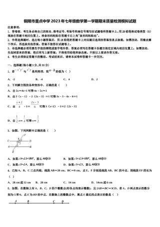 铜陵市重点中学2023年七年级数学第一学期期末质量检测模拟试题含解析.doc