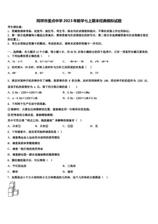 阿坝市重点中学2023年数学七上期末经典模拟试题含解析.doc
