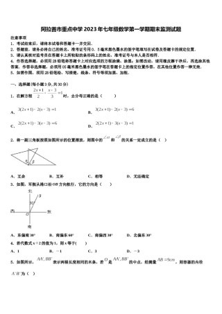 阿拉善市重点中学2023年七年级数学第一学期期末监测试题含解析.doc