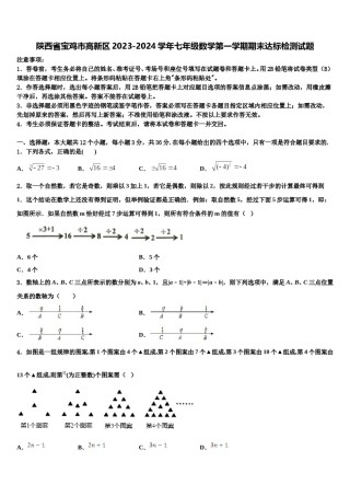 陕西省宝鸡市高新区2023-2024学年七年级数学第一学期期末达标检测试题含解析.doc