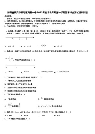 陕西省西安市雁塔区高新一中2023年数学七年级第一学期期末综合测试模拟试题含解析.doc