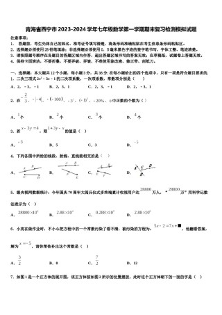 青海省西宁市2023-2024学年七年级数学第一学期期末复习检测模拟试题含解析.doc