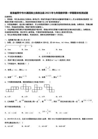 青海省西宁市大通回族土族自治县2023年七年级数学第一学期期末检测试题含解析.doc