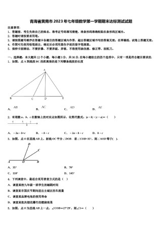 青海省黄南市2023年七年级数学第一学期期末达标测试试题含解析.doc