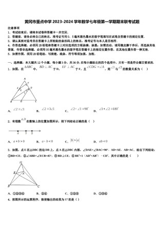 黄冈市重点中学2023-2024学年数学七年级第一学期期末联考试题含解析.doc