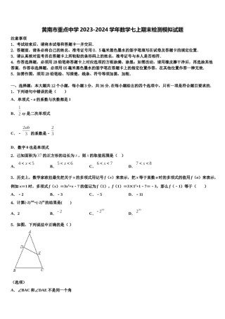 黄南市重点中学2023-2024学年数学七上期末检测模拟试题含解析.doc