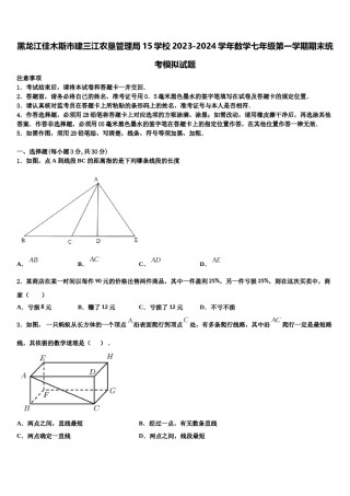 黑龙江佳木斯市建三江农垦管理局15学校2023-2024学年数学七年级第一学期期末统考模拟试题含解析.doc