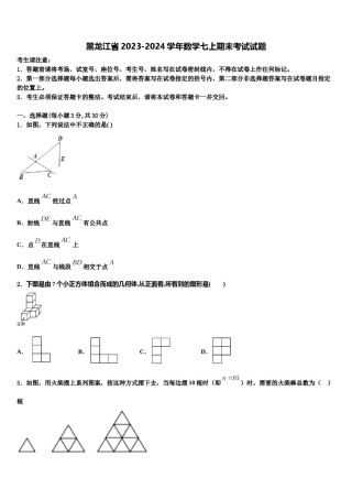 黑龙江省2023-2024学年数学七上期末考试试题含解析.doc