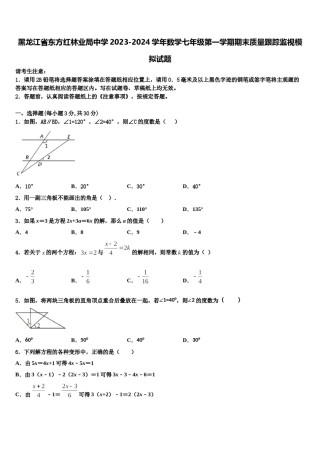 黑龙江省东方红林业局中学2023-2024学年数学七年级第一学期期末质量跟踪监视模拟试题含解析.doc