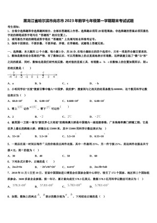 黑龙江省哈尔滨市尚志市2023年数学七年级第一学期期末考试试题含解析.doc