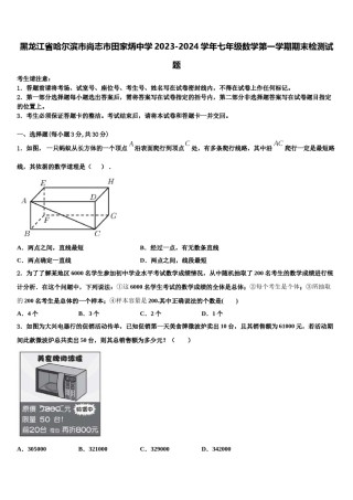 黑龙江省哈尔滨市尚志市田家炳中学2023-2024学年七年级数学第一学期期末检测试题含解析.doc